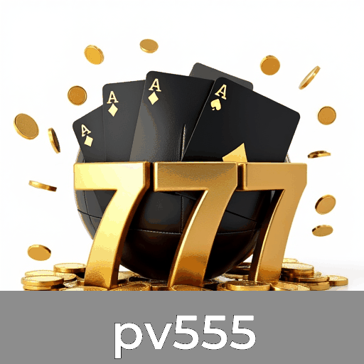 Experimente a Conveniência e Funcionalidade do App pv555